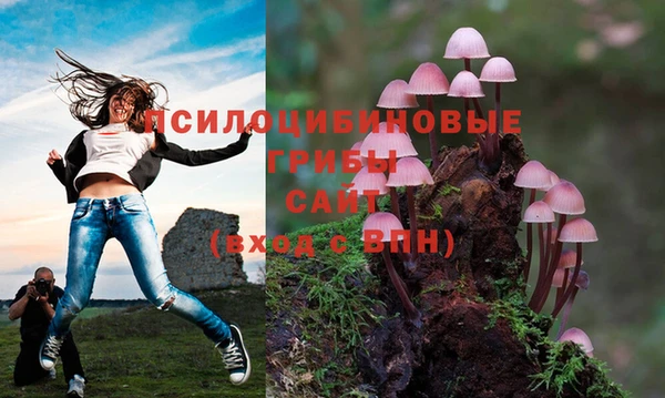 героин Вяземский
