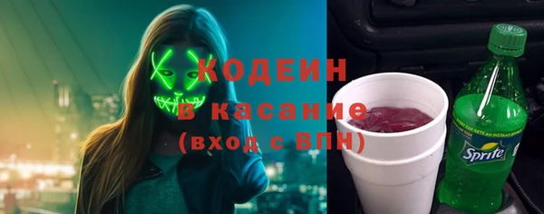 прущие грибы Тавда