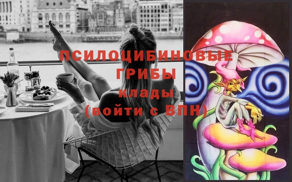 ALPHA PVP Володарск