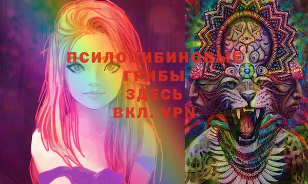 дмт Вязники