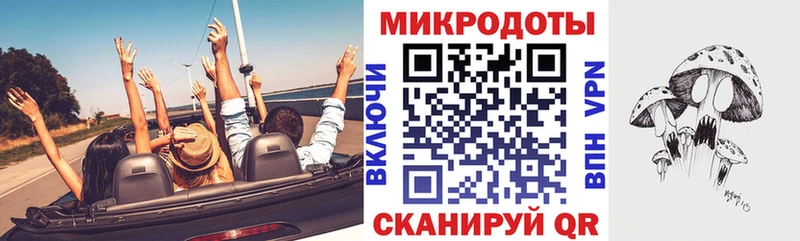 Псилоцибиновые грибы Psilocybine cubensis  Каменка 